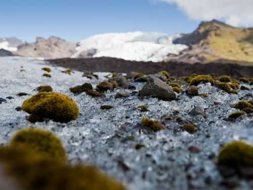 MARATONA DI REYKJAVIK  2014